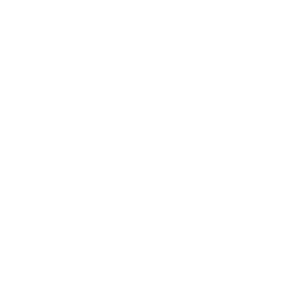 Minerva Cybertech