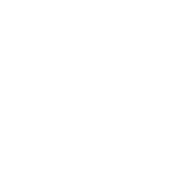 New Vision Security